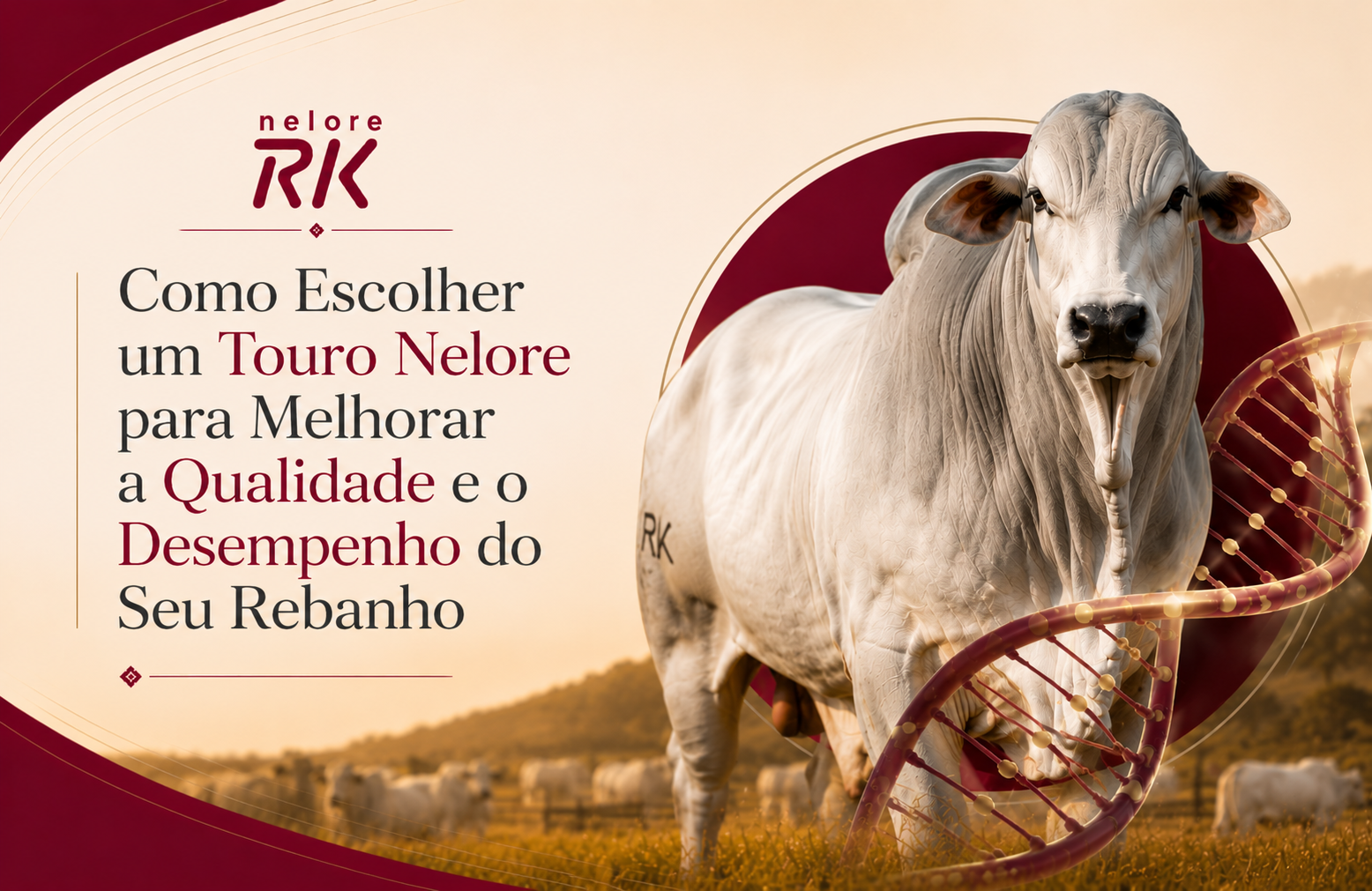 Como Escolher um Touro Nelore para Melhorar a Qualidade e o Desempenho do Seu Rebanho