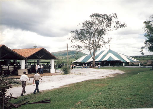 Imagem do leilão 1°  Remate da  Coqueiral