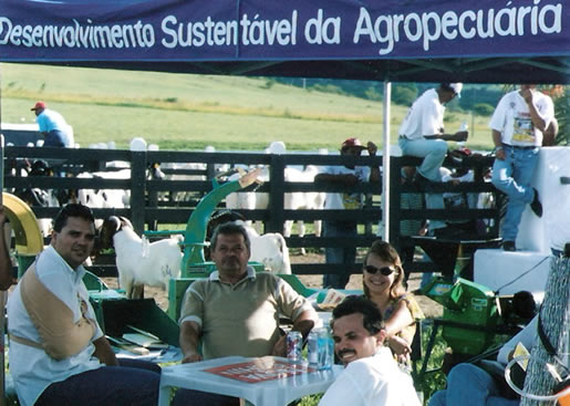 Imagem do leilão 6° Remate da Coqueiral 