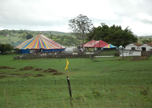 Imagem do leilão 12° Remate da Coqueiral 