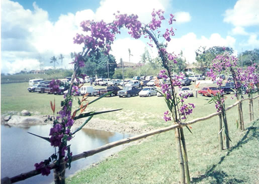 Imagem do leilão 8° Remate da Coqueiral 