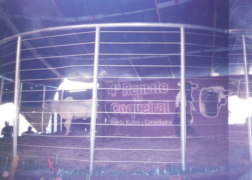 Imagem do leilão 4° Remate da Coqueiral 